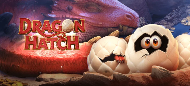 dragon hatchs